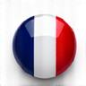 French flag icon representing French language support.